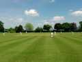 cricket3